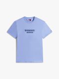 Purple Regular Logo Back Graphic Sweatshirt  Men