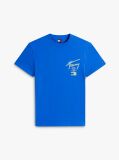 Blue Tricou Cu Logo Pe Spate  Barbati