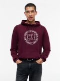 Purple Wavy Flag Graphic Terry Drawstring Hoody  Men