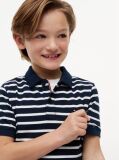 Multi Essential Flag Embroidery Regular Fit Polo  Boys
