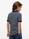 Multi Essential Flag Embroidery Regular Fit Polo  Boys
