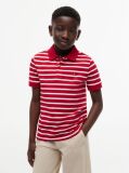 Multi Essential Flag Embroidery Regular Fit Polo  Boys