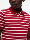 Multi Essential Flag Embroidery Regular Fit Polo  Boys