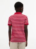 Multi Essential Flag Embroidery Regular Fit Polo  Boys