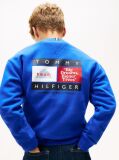 Blue Varsity Mixed Graphic Crew Neck Sweatshirt  Boys