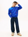 Blue Varsity Mixed Graphic Crew Neck Sweatshirt  Boys