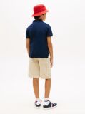 Blue Tricou Polo Cu Croiala Regular Si Steag  Baieti