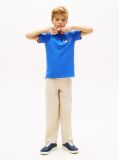 Blue Tricou Polo Cu Croiala Regular Si Steag  Baieti