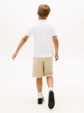 White Regular Fit Wavy Flag Polo Shirt  Boys