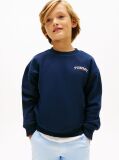 Blue Logo Embroidery Terry Crew Neck Sweatshirt  Boys