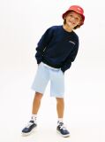 Blue Logo Embroidery Terry Crew Neck Sweatshirt  Boys