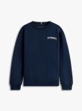 Blue Logo Embroidery Terry Crew Neck Sweatshirt  Boys
