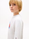 Gri Tricou Cu Logo Smiley Si Steag  Baieti