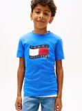 Blue Wavy Flag Jersey Crew Neck T-Shirt  Boys