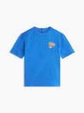Blue Tricou Cu Imprimeu Grafic Pe Spate  Baieti