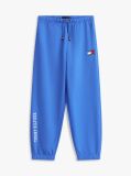 Blue Pantaloni De Jogging Terry Cu Logo Si Steag  Baieti