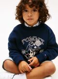 Blue Hanorac Cu Logo Grafic Terry  Baieti