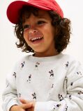 Grey Graphic Logo Terry Sweatshirt  Boys