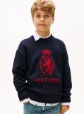 Blue Pulover Cu Guler Rotund Si Model Intarsia TH Crest  Baieti