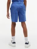 Blue Pantaloni Scurti Relaxati Din Poplin Cu Broderie Steag  Baieti