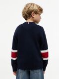 Blue Pulover Cu Logo Graphic  Baieti