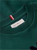 Green Logo Sueded Crew Neck Sweatshirt  Boys