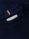 Blue Varsity Logo Sweatshirt  Boys
