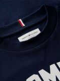 Blue T-Shirt Din Jerseu Cu Guler Rotund Si Logo  Baieti