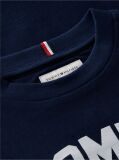 Blue Logo Long Sleeve T-Shirt  Boys