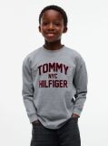 Grey Logo Long Sleeve T-Shirt  Boys