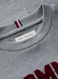 Grey Logo Long Sleeve T-Shirt  Boys