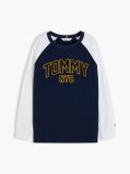 Blue T-Shirt Varsity Cu Blocuri De Culori Si Logo  Baieti