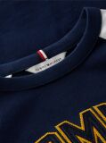 Blue T-Shirt Varsity Cu Blocuri De Culori Si Logo  Baieti
