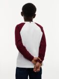 White Colour-Blocked Varsity Logo T-Shirt  Boys