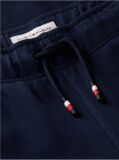 Blue Joggers Cu Logo Din Suede  Baieti