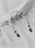 Gri Joggers Varsity Cu Logo Appliqué Si Cordon  Baieti