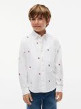 Alb Camasa Oxford Varsity Cu Croiala Regular  Baieti