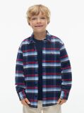Multi Regular Fit Back Graphic Check Corduroy Shirt  Boys