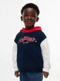 Blue Colour-Blocked Logo Terry Hoody  Boys