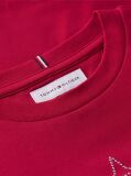 Rosu T-Shirt Extra Slim Cu Maneca Lunga Si Steag  Fete