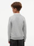Grey Hanorac cu logo esențial  Kids Unisex