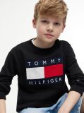 Black Heritage Flag Logo Crew Neck Jumper  Kids Unisex