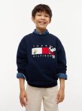 Blue Peanuts® Flag Graphic Embroidery Jumper  Kids Unisex