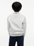 Grey Peanuts® Flag Graphic Embroidery Jumper  Kids Unisex