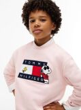 Pink Peanuts® Flag Graphic Embroidery Jumper  Kids Unisex
