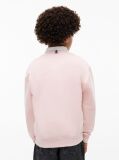 Pink Peanuts® Flag Graphic Embroidery Jumper  Kids Unisex