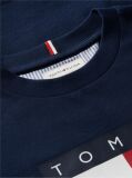 Blue Peanuts® T-Shirt Din Jerseu Cu Steag  Copii unisex