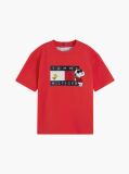 Red Peanuts® Flag Graphic Jersey T-Shirt  Kids Unisex