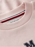Pink Terry Crew Neck Sweatshirt  Kids Unisex
