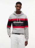 Gri TH x Cadillac Formula 1® Team Hanorac  Unisex
